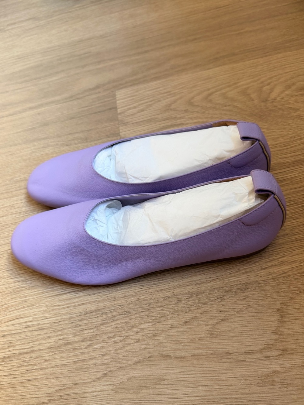 Everlane Lilac Ballet Flats — Soft Slip-On Loafers